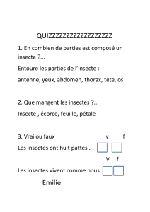 Le quizz sur les insectes