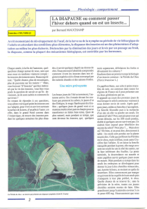 La Diapause / Insectes n° 89