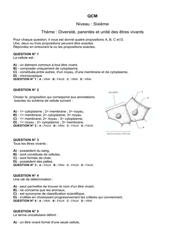 QCM Niveau : Sixième Thème : Diversité, Parentés Et Unité Des êtres