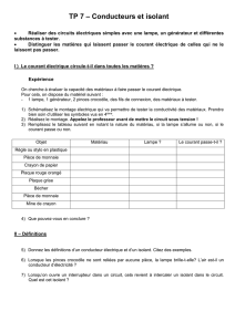 TP CHIMIE - Tests de reconnaissance des métaux