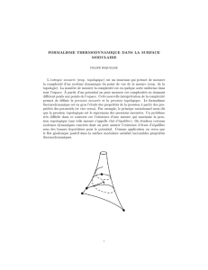 FORMALISME THERMODYNAMIQUE DANS LA SURFACE