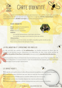 Abeilles