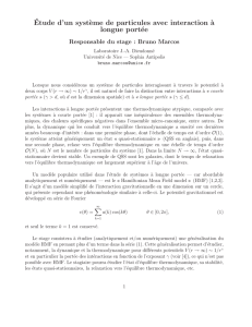 ´Etude d`un syst`eme de particules avec interaction `a longue portée