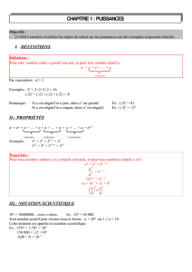 CHAPITRE 1 : PUISSANCES
