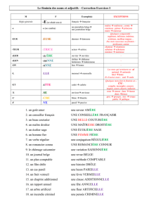 Le féminin des noms et adjectifs – Correction Exercices I