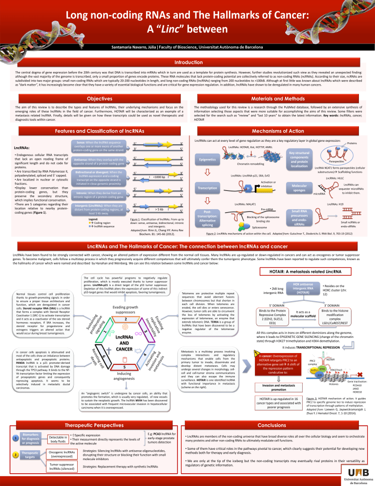 Long non-coding RNAs and The Hallmarks of Cancer: Linc